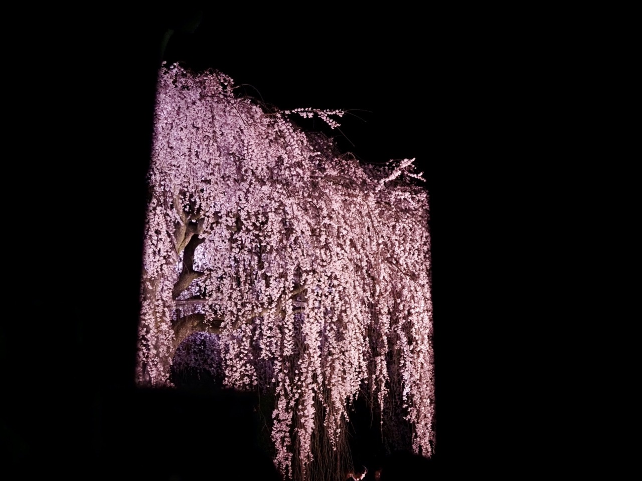 2026-03-26 20-24-45.