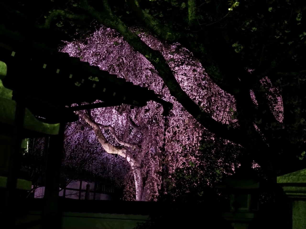 2026-03-26 20-26-02.