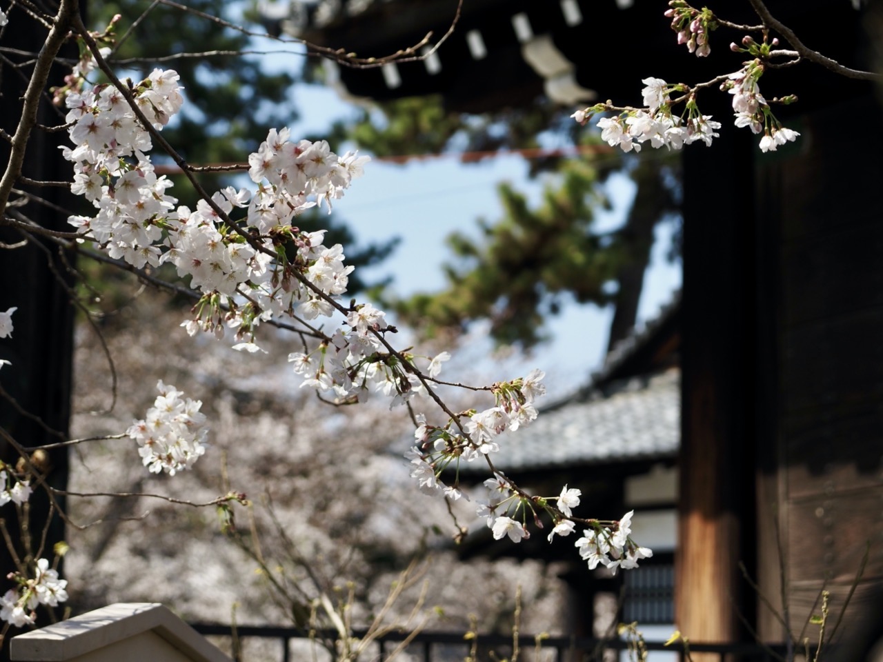 2026-03-27 13-23-36.jpeg 2026-03-27 13-23-36.