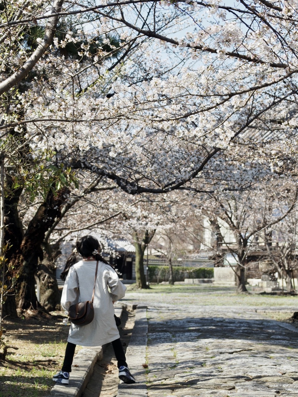 2026-03-27 13-26-43.jpeg 2026-03-27 13-26-43.