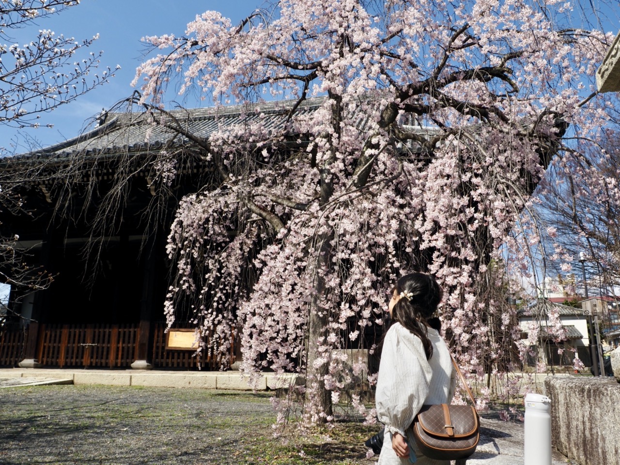 2026-03-27 13-30-43.jpeg 2026-03-27 13-30-43.