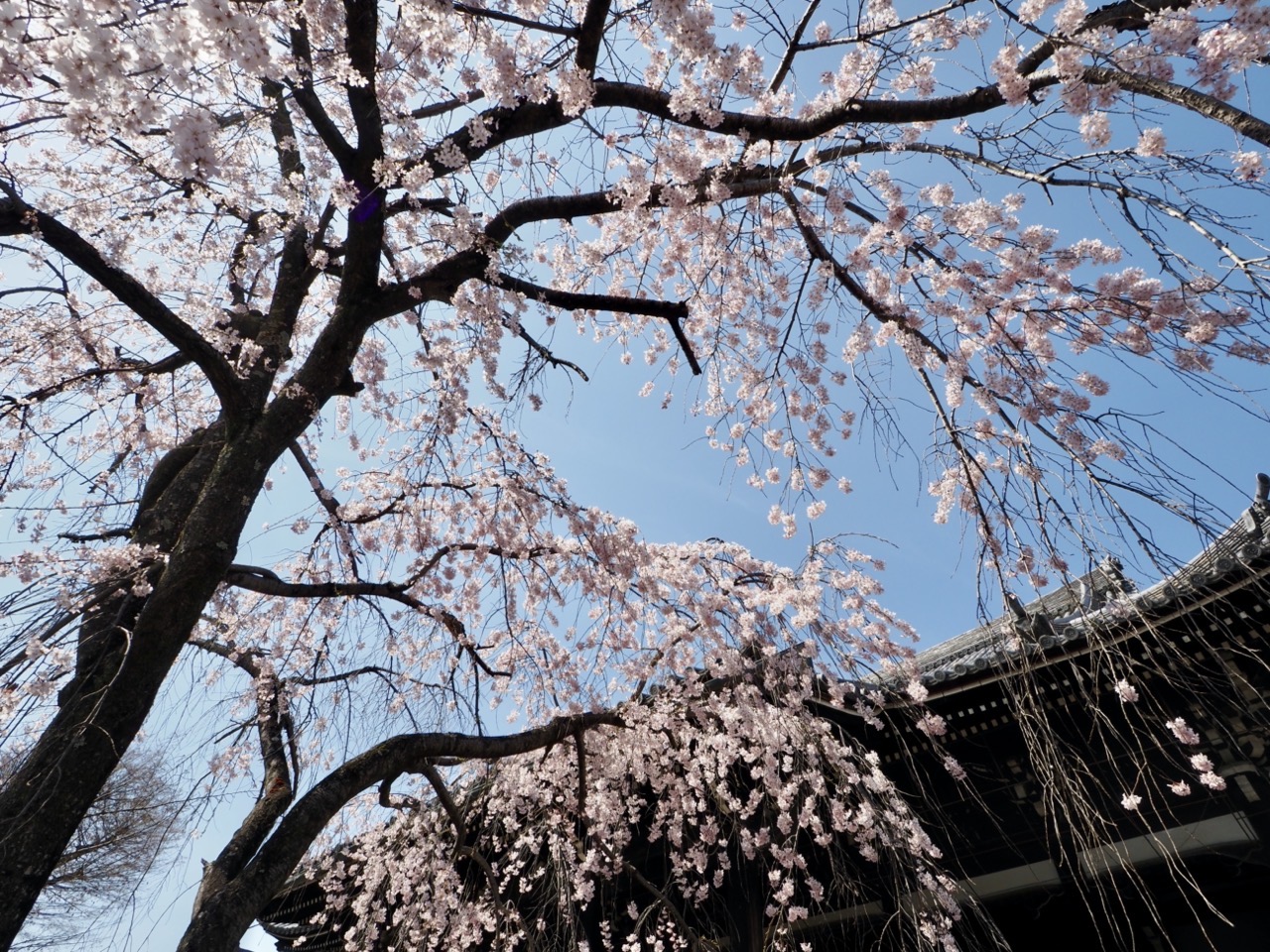 2026-03-27 13-32-08.jpeg 2026-03-27 13-32-08.