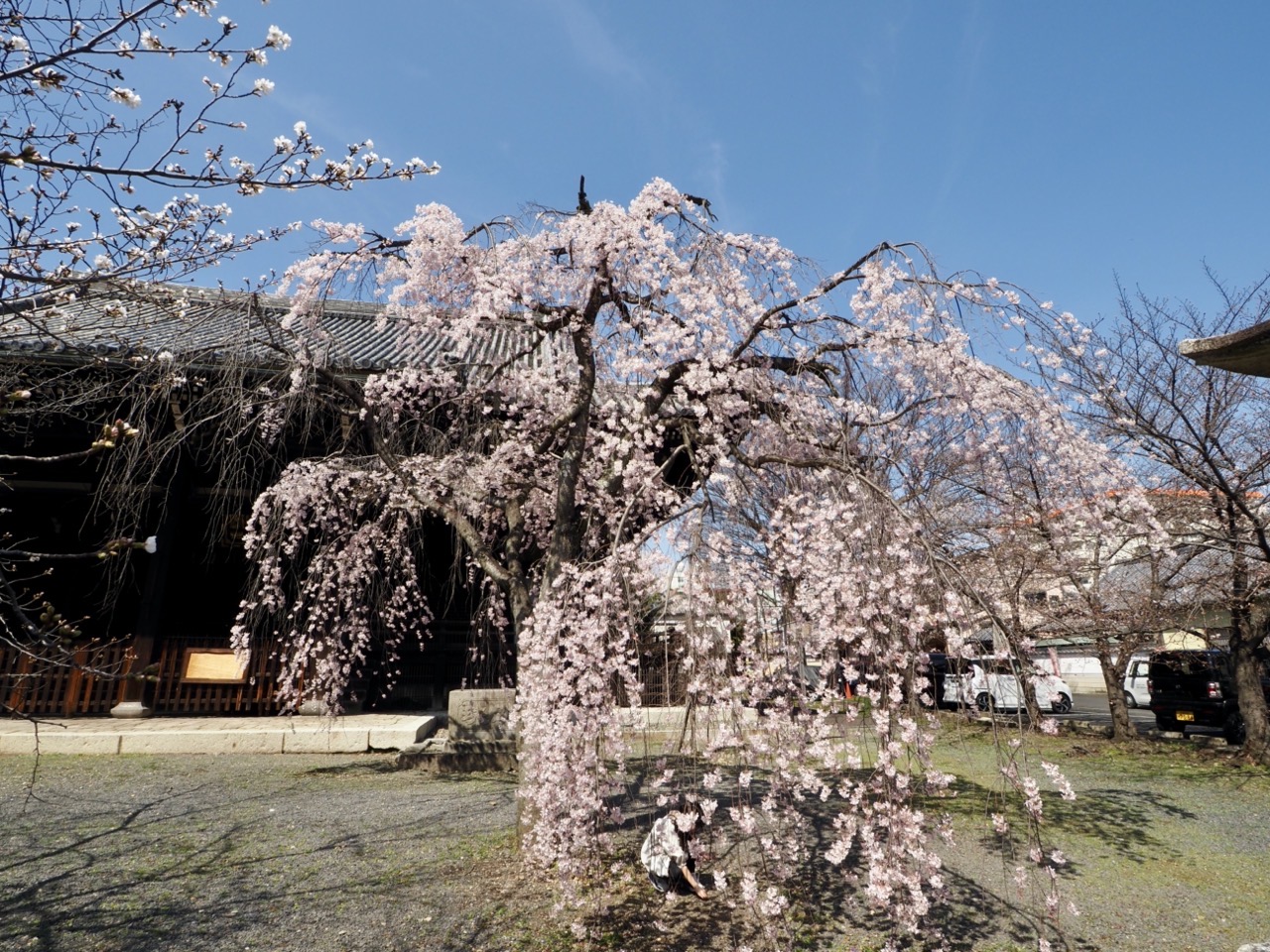 2026-03-27 13-37-37.jpeg 2026-03-27 13-37-37.