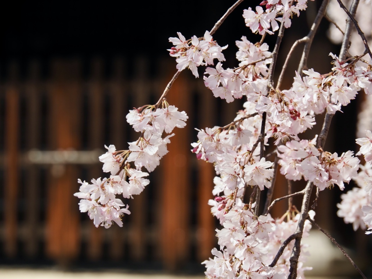 2026-03-27 13-39-16.jpeg 2026-03-27 13-39-16.