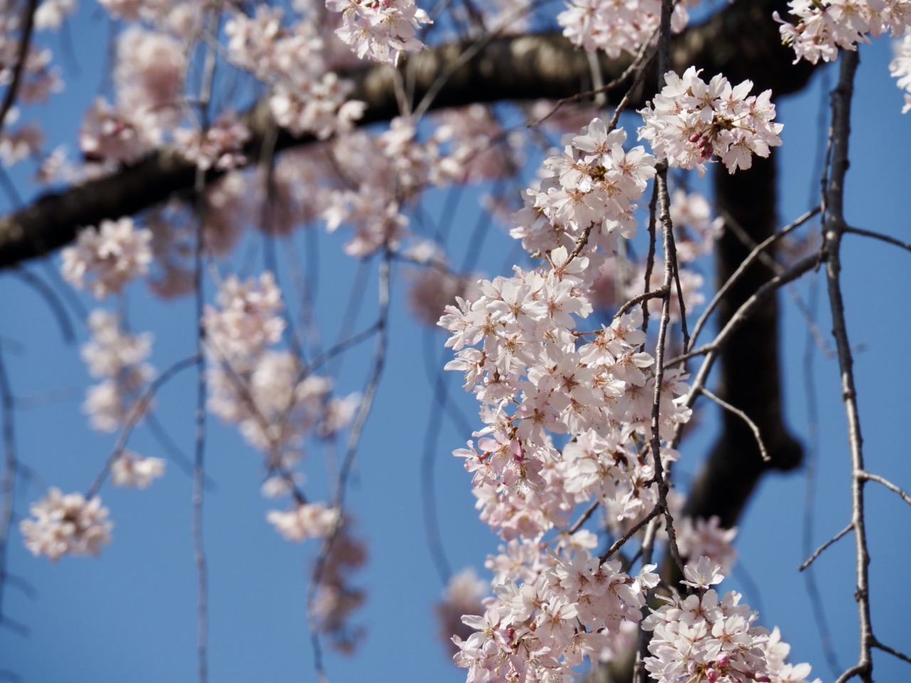 2026-03-27 13-39-27.jpeg 2026-03-27 13-39-27.