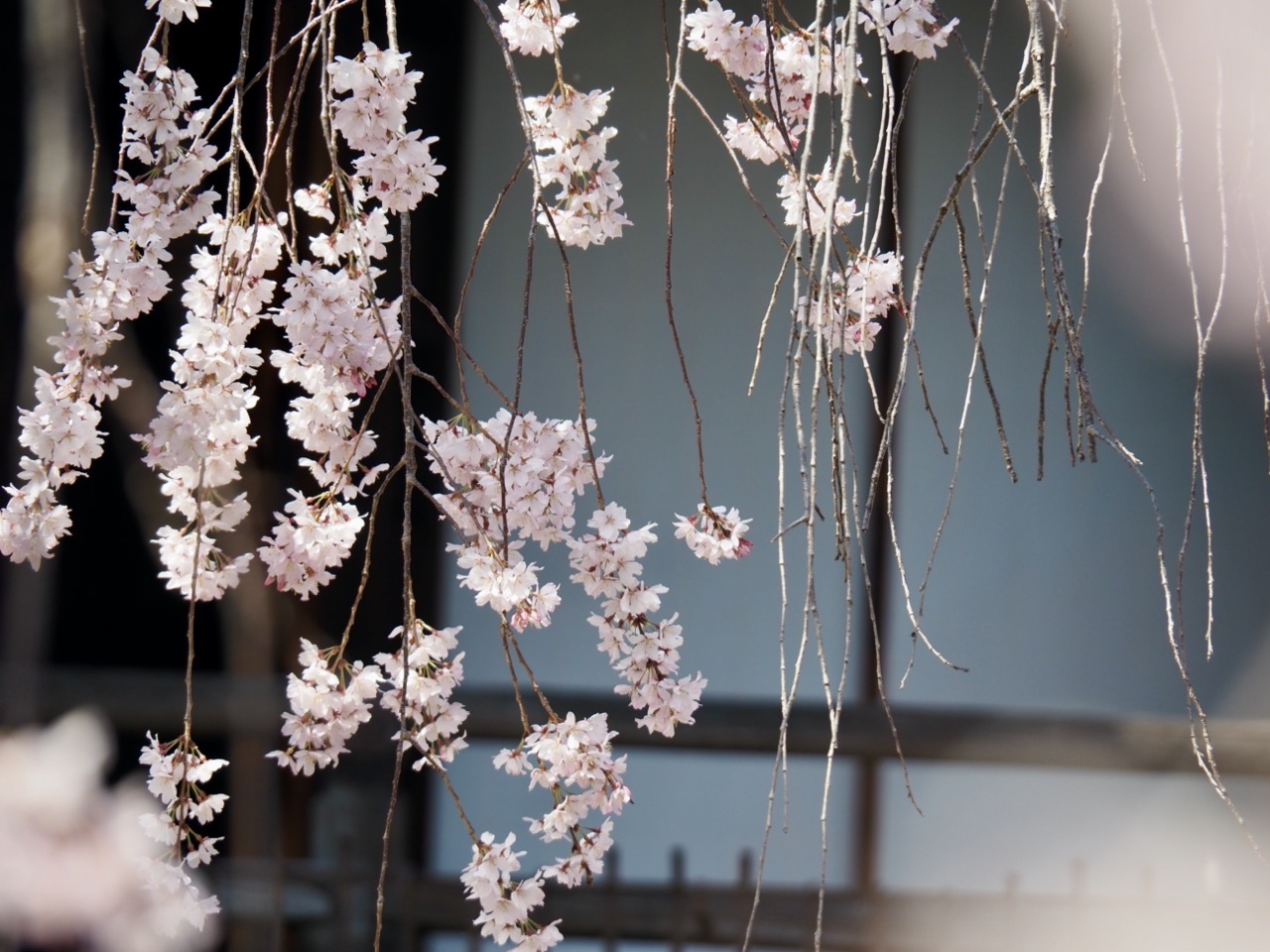 2026-03-27 13-41-13.jpeg 2026-03-27 13-41-13.