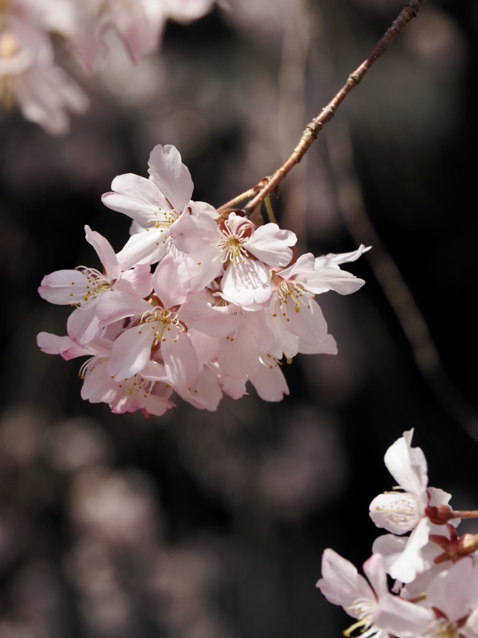 2026-03-27 13-41-36.jpeg 2026-03-27 13-41-36.