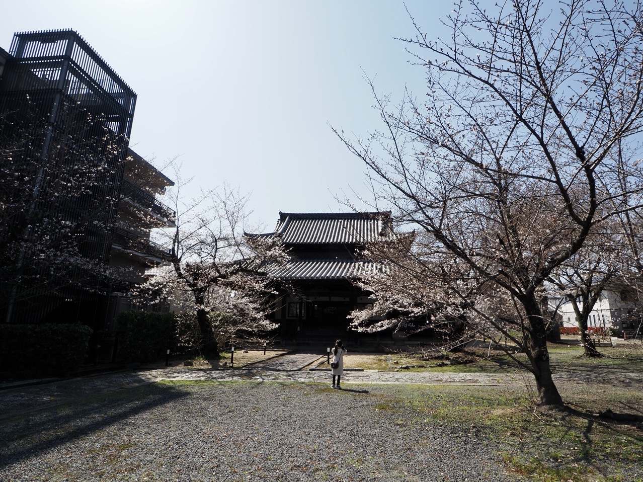 2026-03-27 13-46-04.jpeg 2026-03-27 13-46-04.