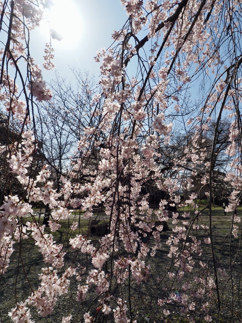 2026-03-27 13-49-01.jpeg 2026-03-27 13-49-01.