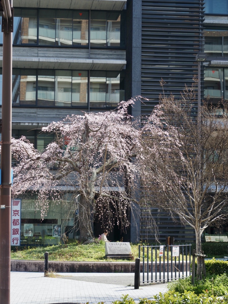 2026-03-27 14-15-00.jpeg 2026-03-27 14-15-00.