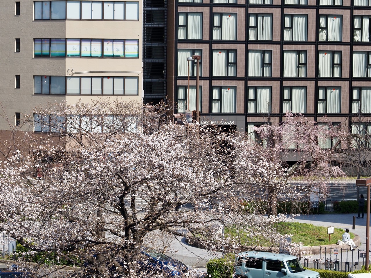 2026-03-27 14-25-51.jpeg 2026-03-27 14-25-51.